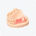 Żywica Phrozen Gingiva Mask 0,5 kg