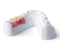 Żywica Phrozen Gingiva Mask 0,5 kg