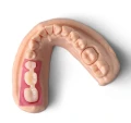 Żywica Phrozen Gingiva Mask 0,5 kg