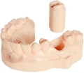 Modele wykonane z żywicy UV Polimer Model One wyróżniają się wysoką dokładnością i estetycznym wykończeniem. Idealne do zastosowań dentystycznych, protetycznych i diagnostycznych.