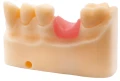 Żywica HARZ Dental Pink 0,1kg