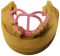 BlueCast Dental Cast do precyzyjnych odlewów stomatologicznych