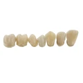 BEGO VarseoSmile Crown Plus A1 250g - Żywica charakteryzuje się również wysoką siłą wiązania z kompozytami mocującymi i jest przeznaczona do profesjonalnego zastosowania stomatologicznego.