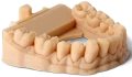Żywica Phrozen Water Washable Dental 1 kg – materiał do szczegółowych modeli dentystycznych z łatwym czyszczeniem wodą