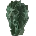 Filament Anycubic PLA Galaxy Green 1kg